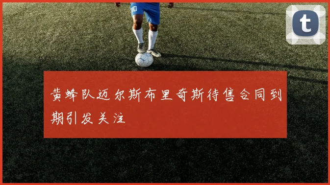 黄蜂队迈尔斯布里奇斯待售合同到期引发关注