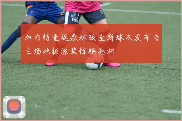 加内特重返森林狼全新球衣发布与主场地板涂装惊艳亮相